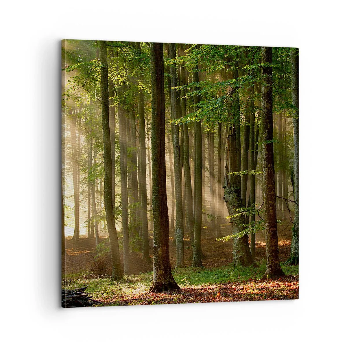 Canvastavla - Bild på duk - Utstrålande på en vårmorgon - 60x60 cm
