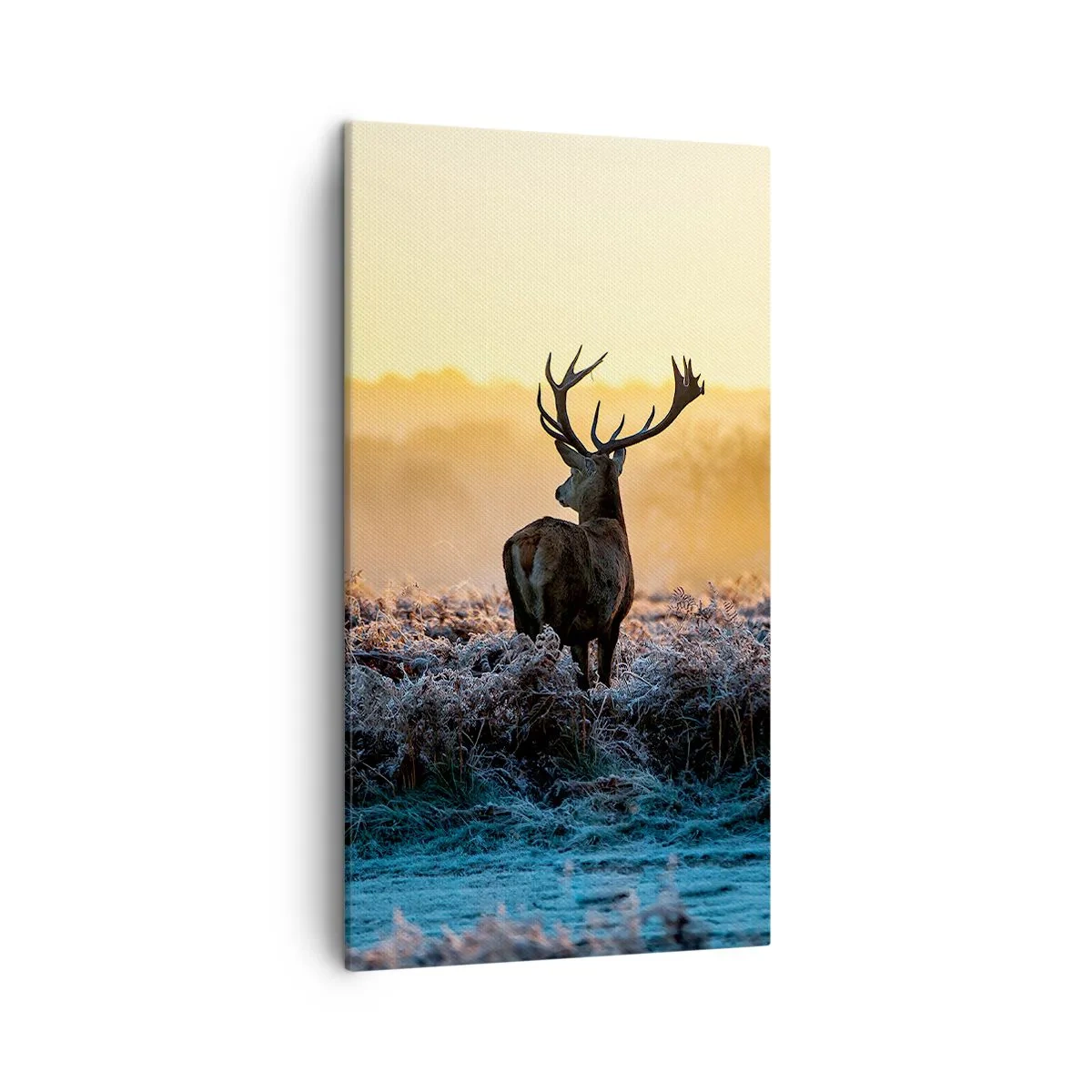 Canvastavla - Bild på duk - Krönt på sin mark - 45x80 cm