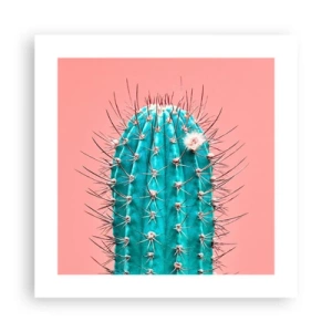 Affisch - Titta bara - 40x40 cm