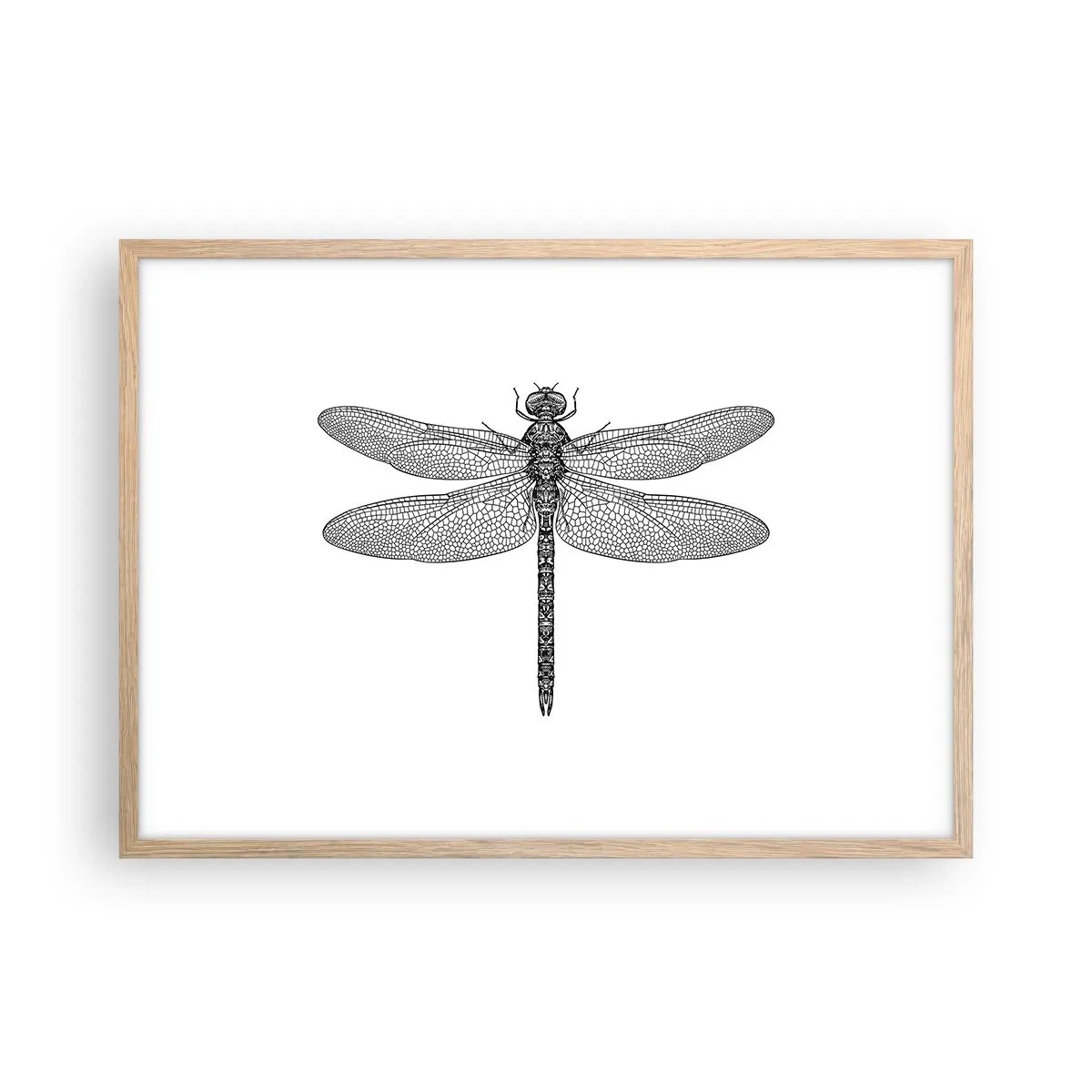 Affisch i ram av ljusek - Precision i naturen - 70x50 cm