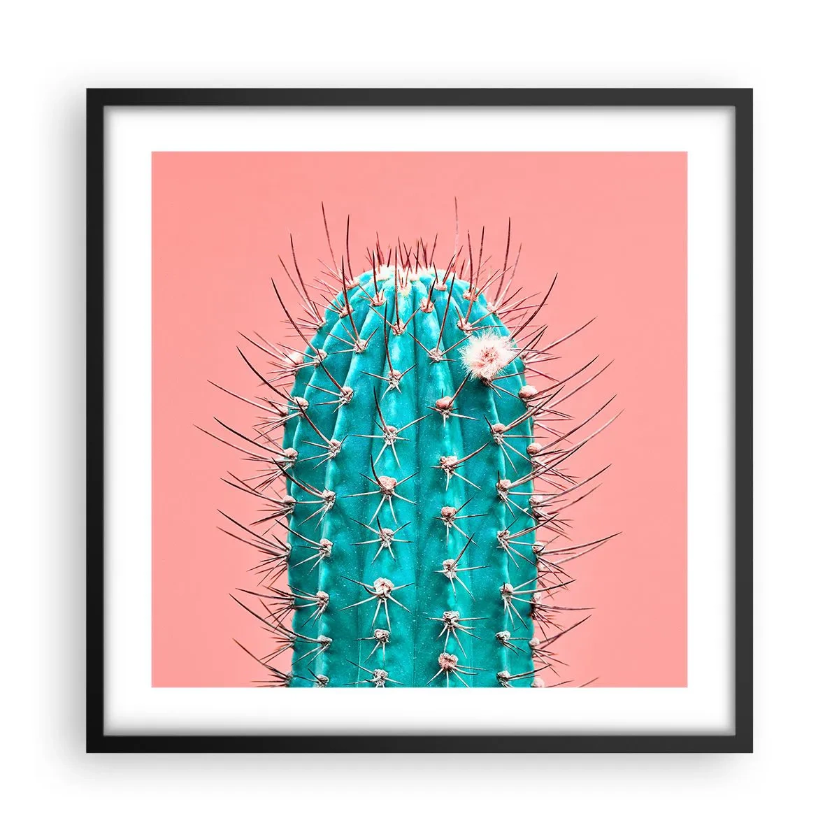 Affisch i svart ram - Titta bara - 50x50 cm