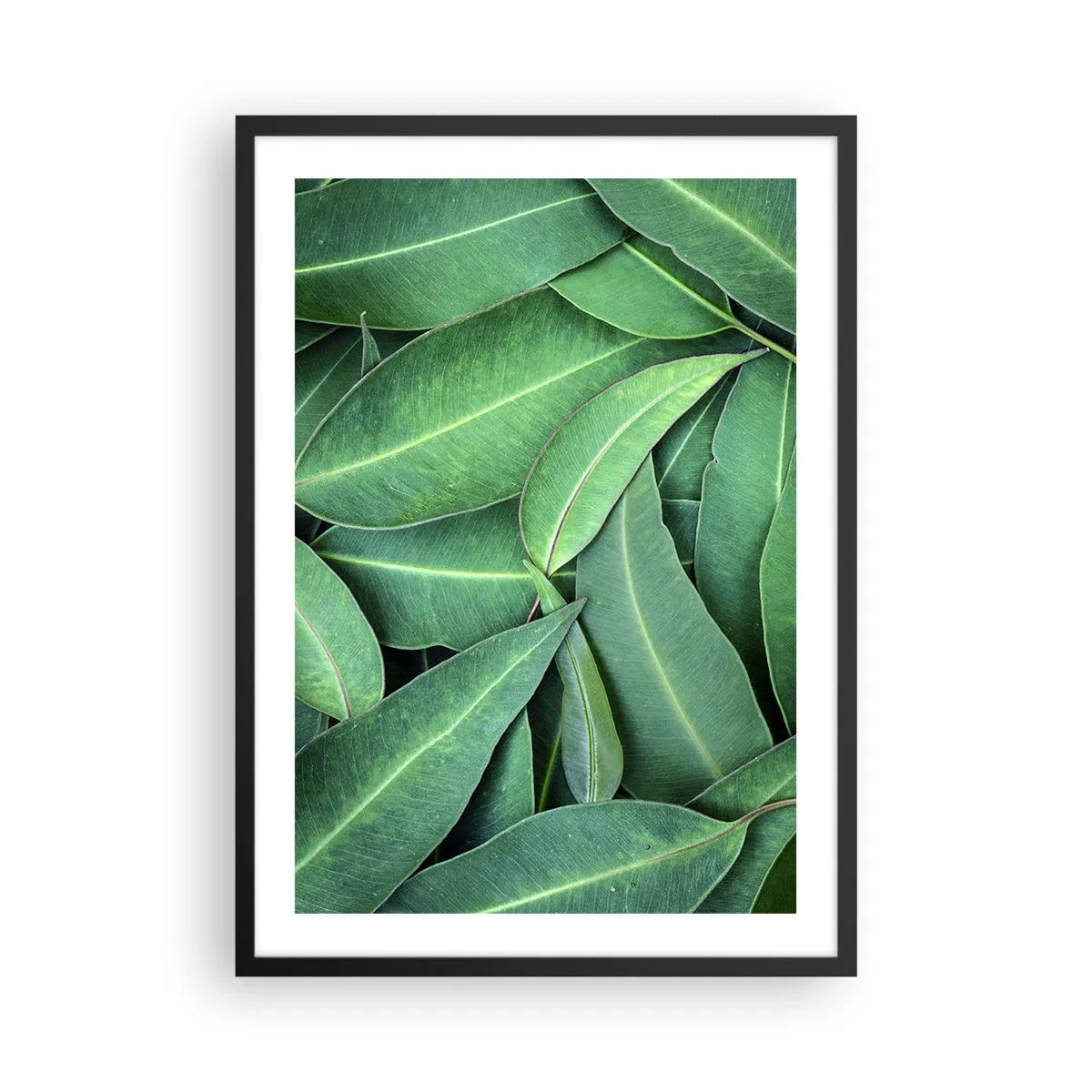 Affisch i svart ram - Gröna blad arrangerade i en tät komposition - 50x70cm - Saftiga och fräscha - Modern väggdekoration för vardagsrum och sovrum ARTTOR