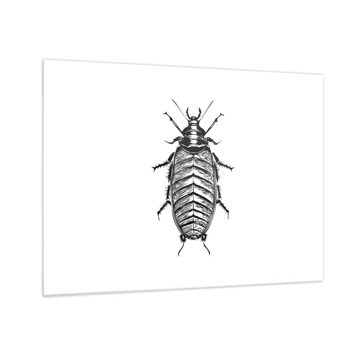 Glastavla - Bild på glas - Svartvit illustration av en insekt på vit bakgrund - 70x50cm - Vilket exemplar! - Modern väggdekoration för vardagsrum och sovrum ARTTOR