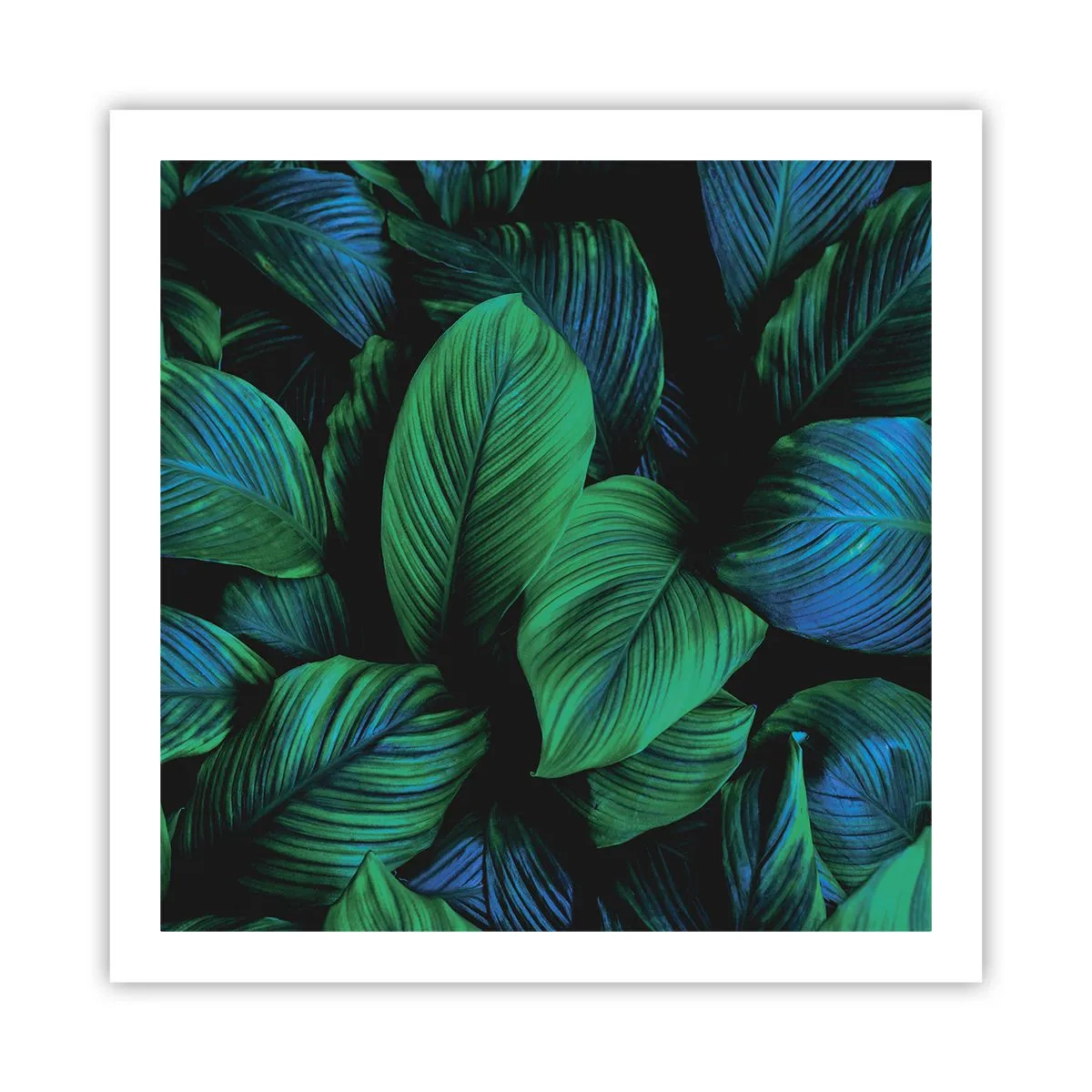 Affisch - I gröna folkmassan - 60x60 cm