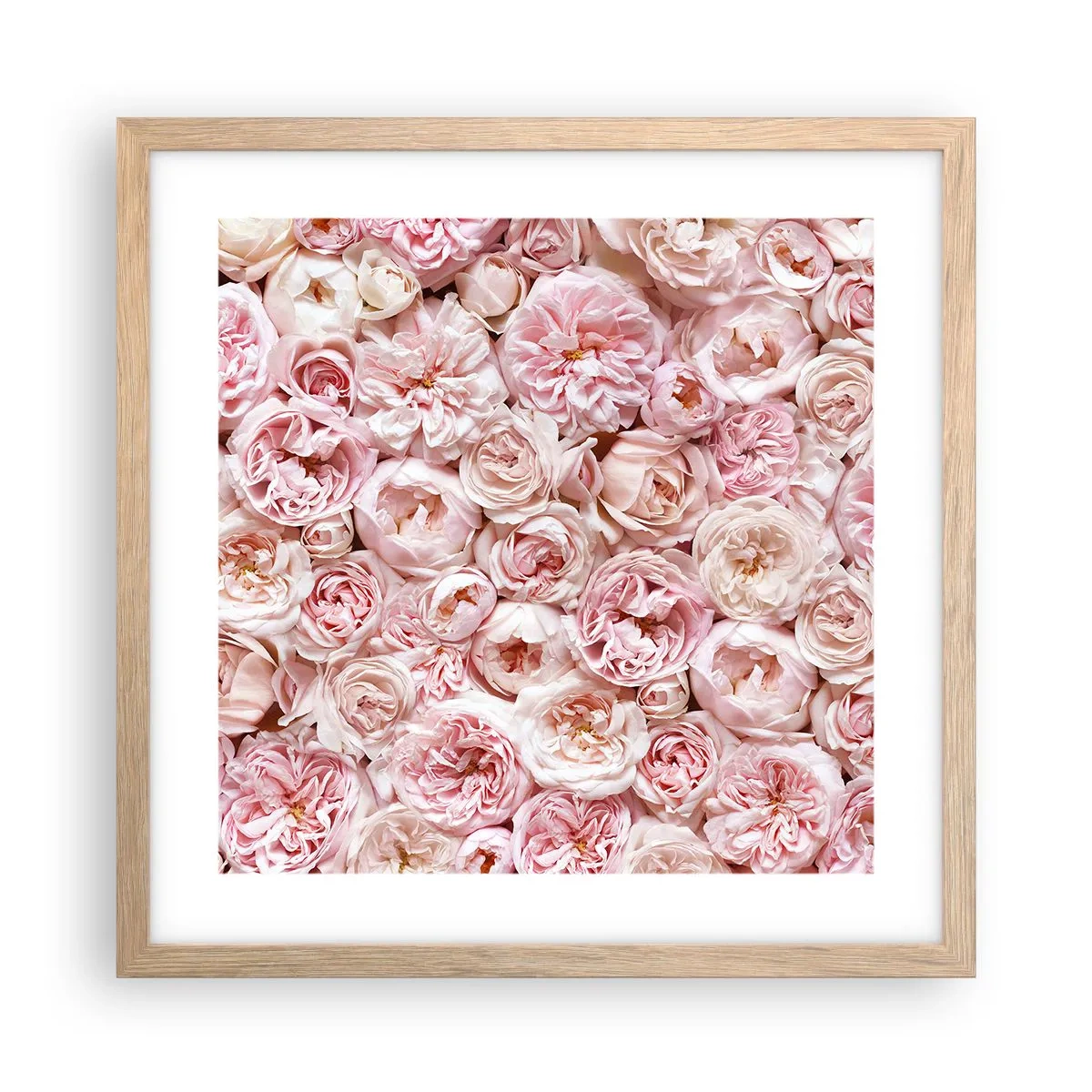 Affisch i ram av ljusek - Strödd med rosor - 40x40 cm