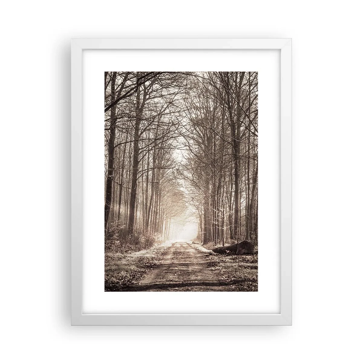 Affisch i vit ram - Skogens domkyrka - 30x40 cm