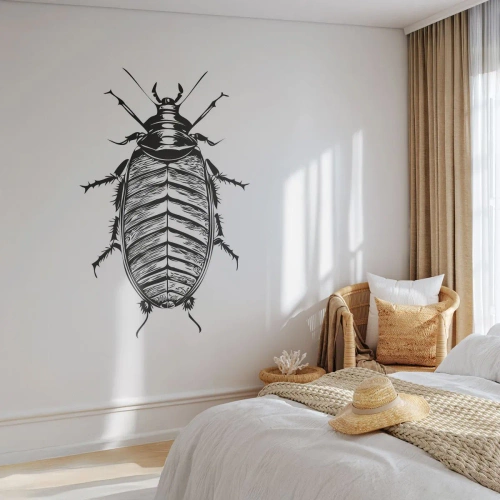 Självhäftande Fototapet Deluxe Sticker - Vilket exemplar! - Insekt, Kackerlacka, Minimalism - 300x210 cm