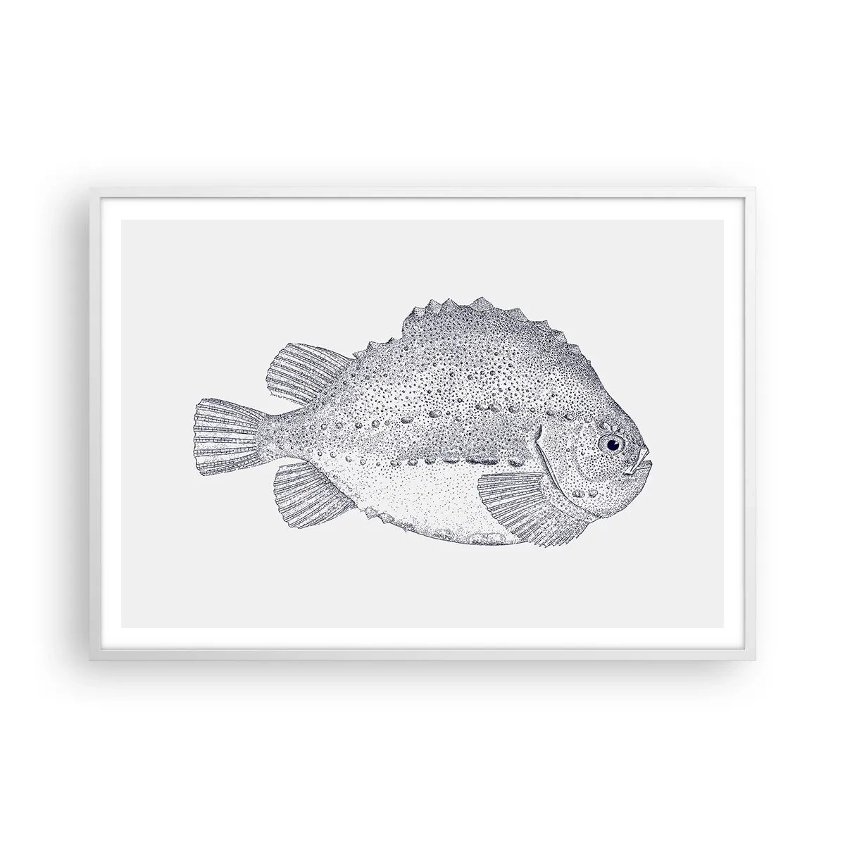 Affisch i vit ram - Till naturforskarens album - 100x70 cm