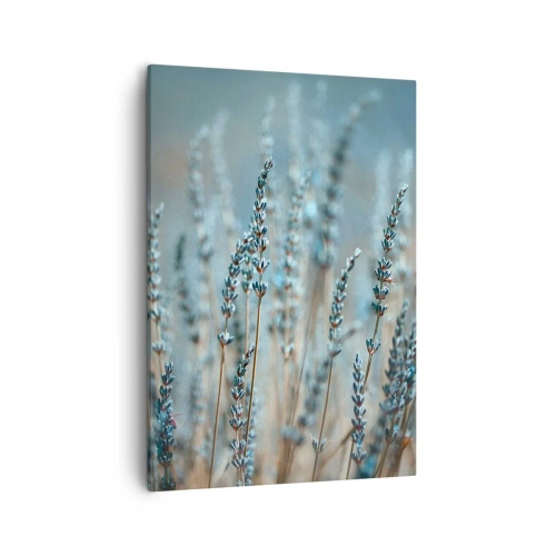 Canvastavla - Bild på duk - Doftande åkermark - 50x70 cm