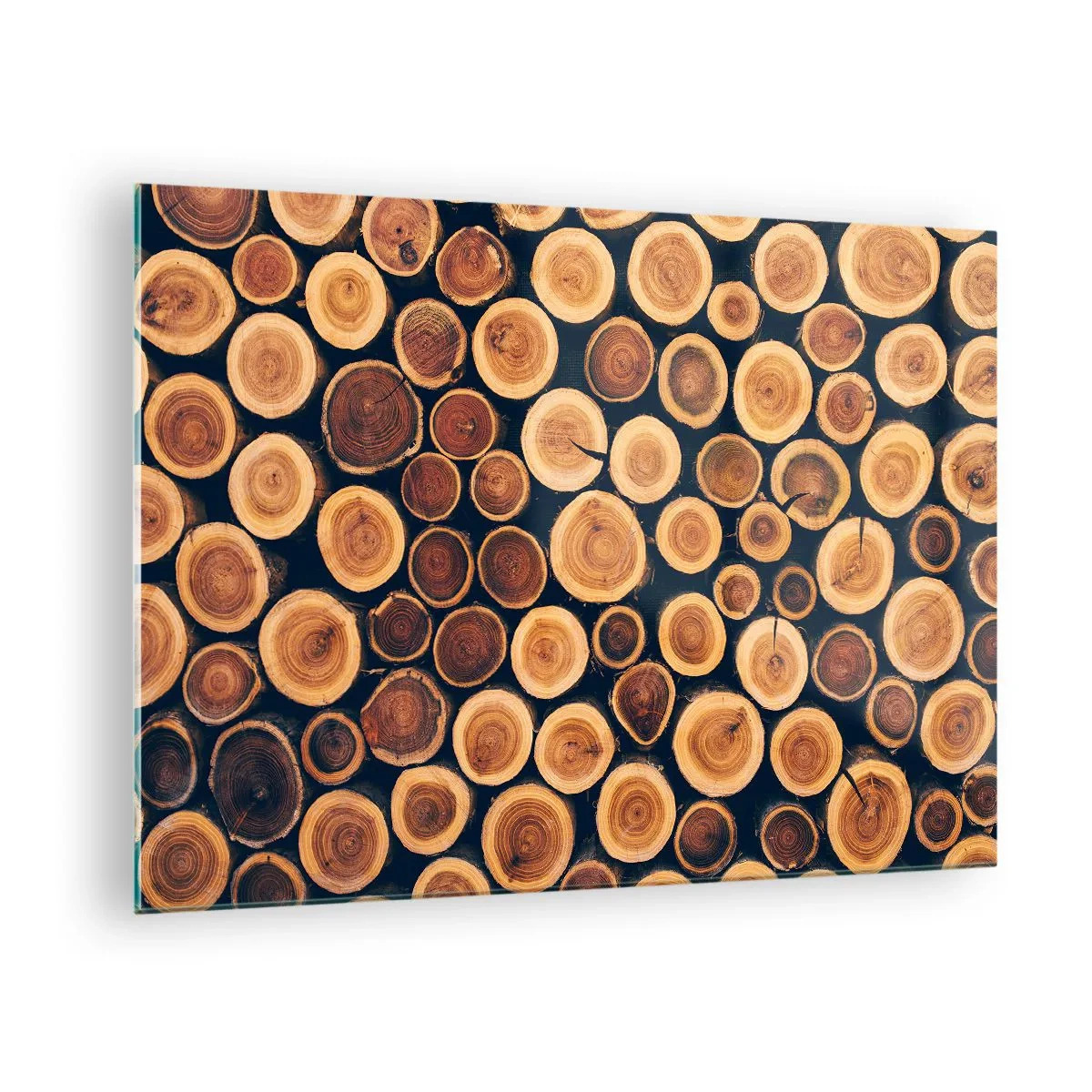 Glastavla - Bild på glas - Vy över avskurna trädstammar arrangerade i rad - 70x50cm - Hur gammal ser jag ut att vara? - Modern väggdekoration för vardagsrum och sovrum ARTTOR