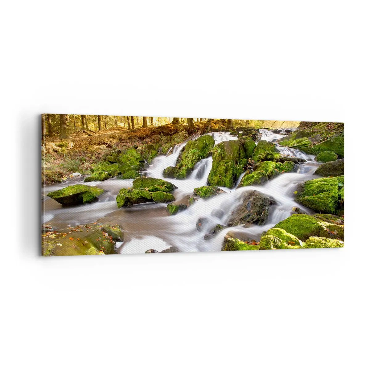 Canvastavla - Bild på duk - Kvickt genom höstskogen - 100x40 cm