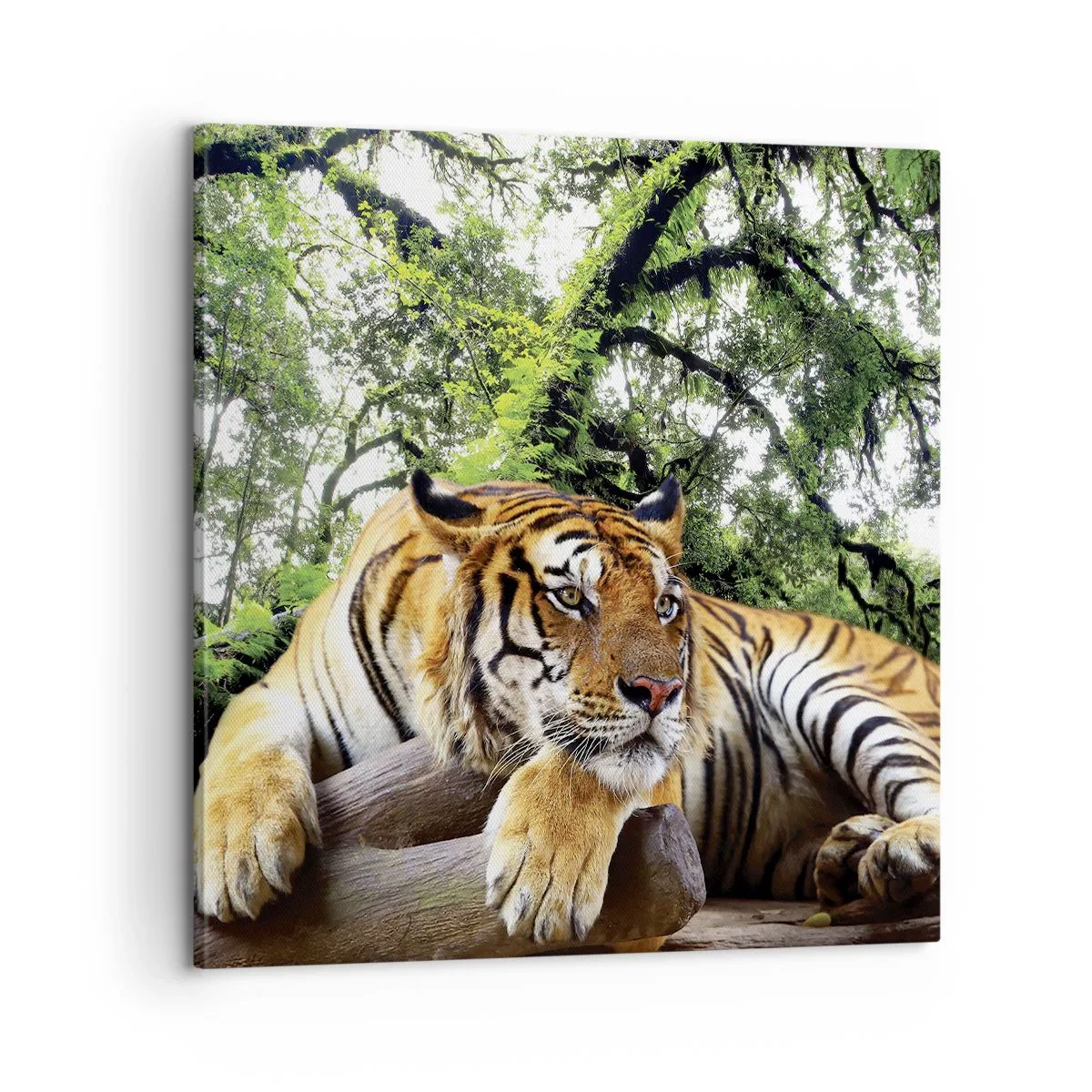 Canvastavla - Bild på duk - Med vänlig hälsning - 60x60 cm