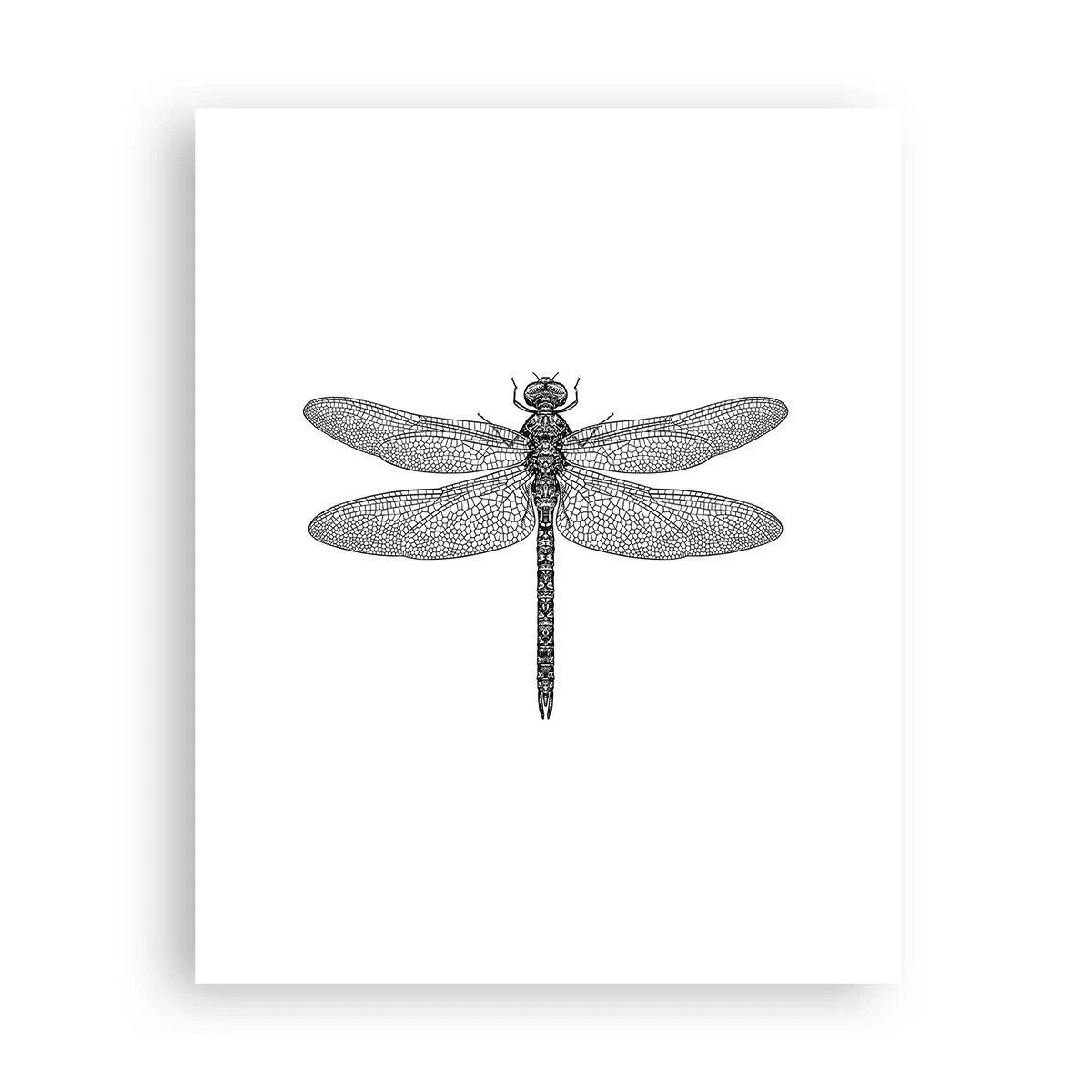 Affisch - Precision i naturen - 40x50 cm