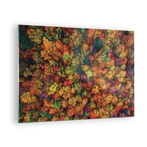 Glastavla - Bild på glas - En fågelperspektiv av en skog i full höst, full av färgglada träd - 70x50cm - Höstträdens bukett - Modern väggdekoration för vardagsrum och sovrum ARTTOR