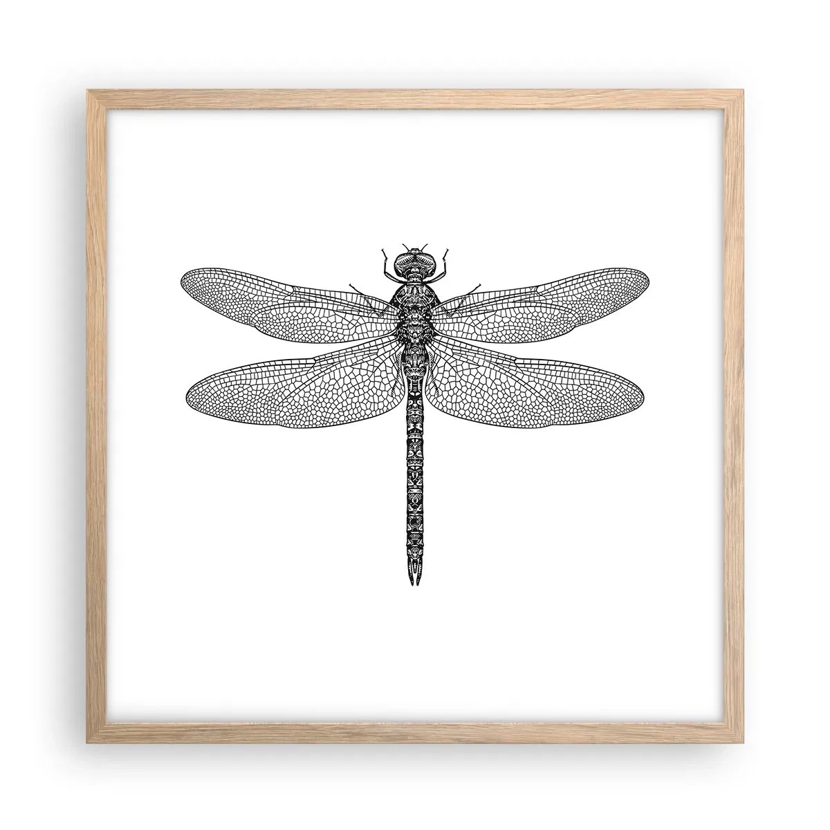 Affisch i ram av ljusek - Precision i naturen - 50x50 cm