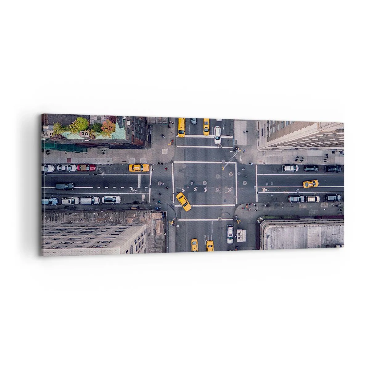 Canvastavla - Bild på duk - Enkelt val - 100x40 cm