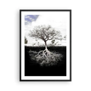 Affisch i svart ram - Ett minimalistiskt träd med ett synligt rotsystem - 50x70cm - Upptäckt av världens natur - Modern väggdekoration för vardagsrum och sovrum ARTTOR