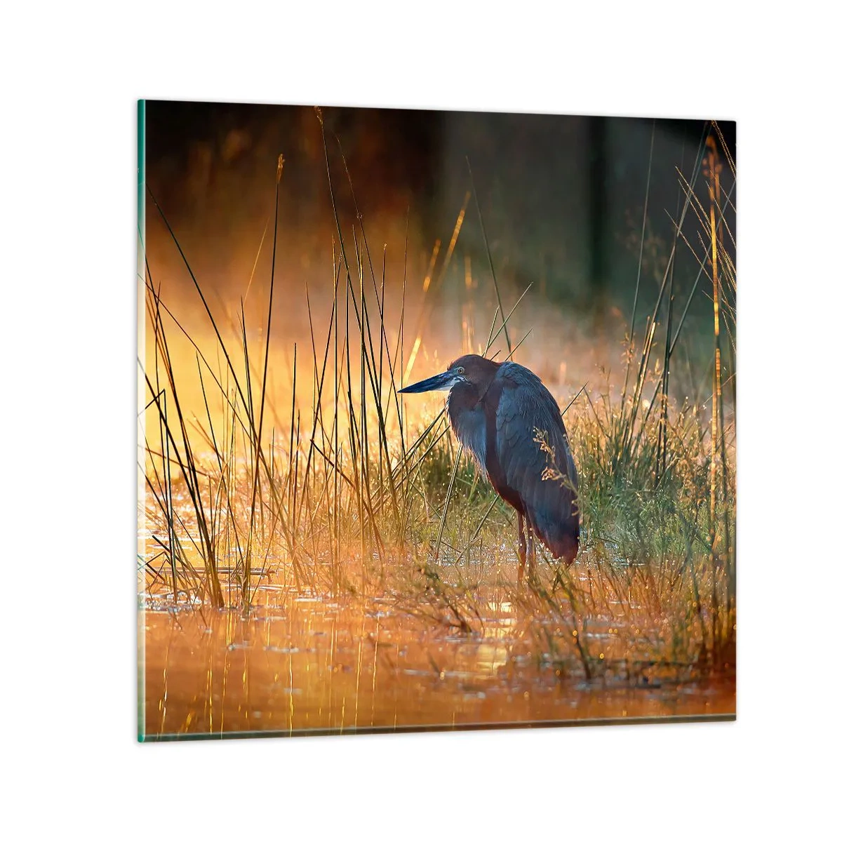 Glastavla - Bild på glas - Sluta fota - 40x40 cm