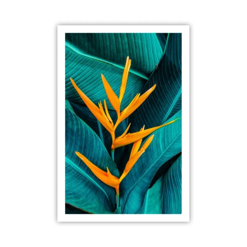 Affisch - Edens blomma - 61x91 cm