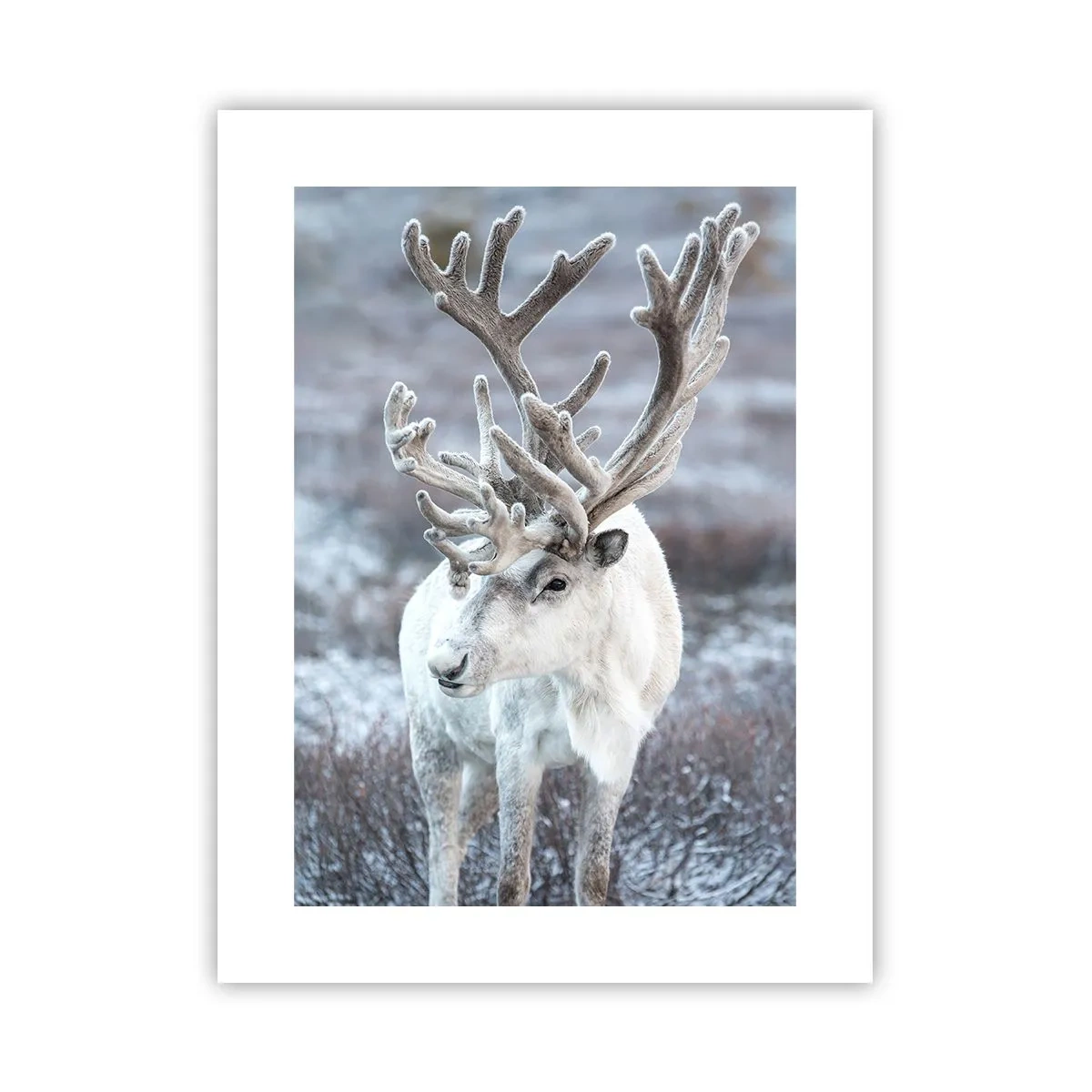 Affisch - Porträtt i solsken - 30x40 cm