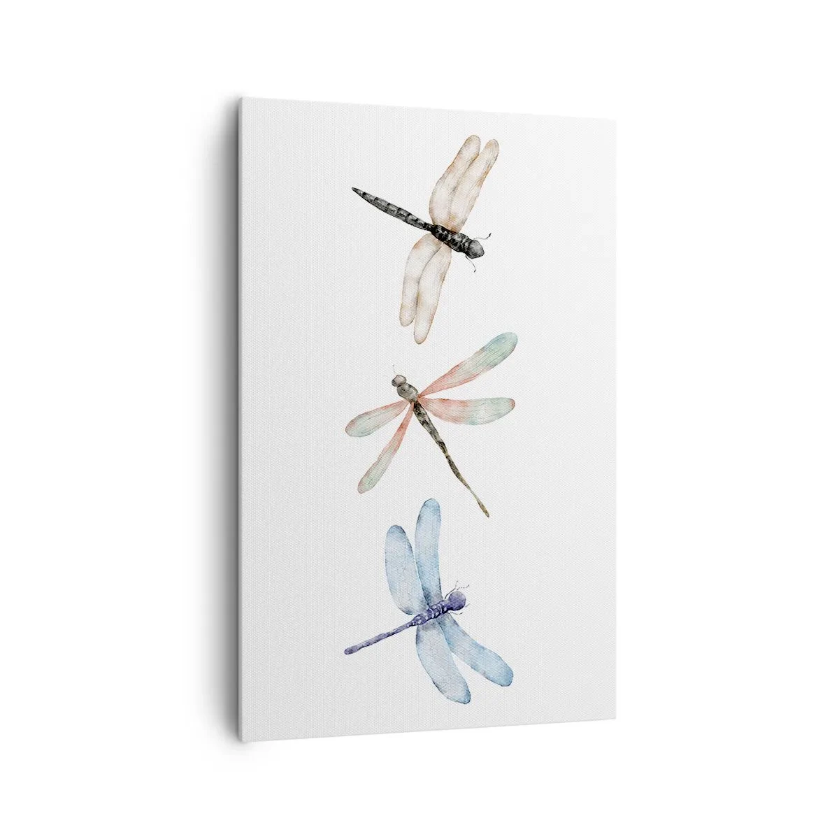 Canvastavla - Bild på duk - Viktlösa trollsländor - 80x120 cm