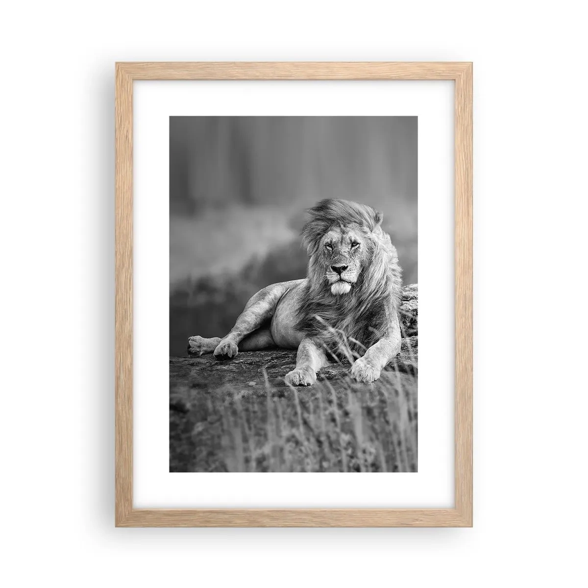 Affisch i ram av ljusek - Kunglig siesta - 30x40 cm