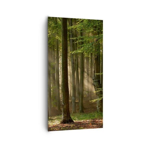 Canvastavla - Bild på duk - Utstrålande på en vårmorgon - 65x120 cm