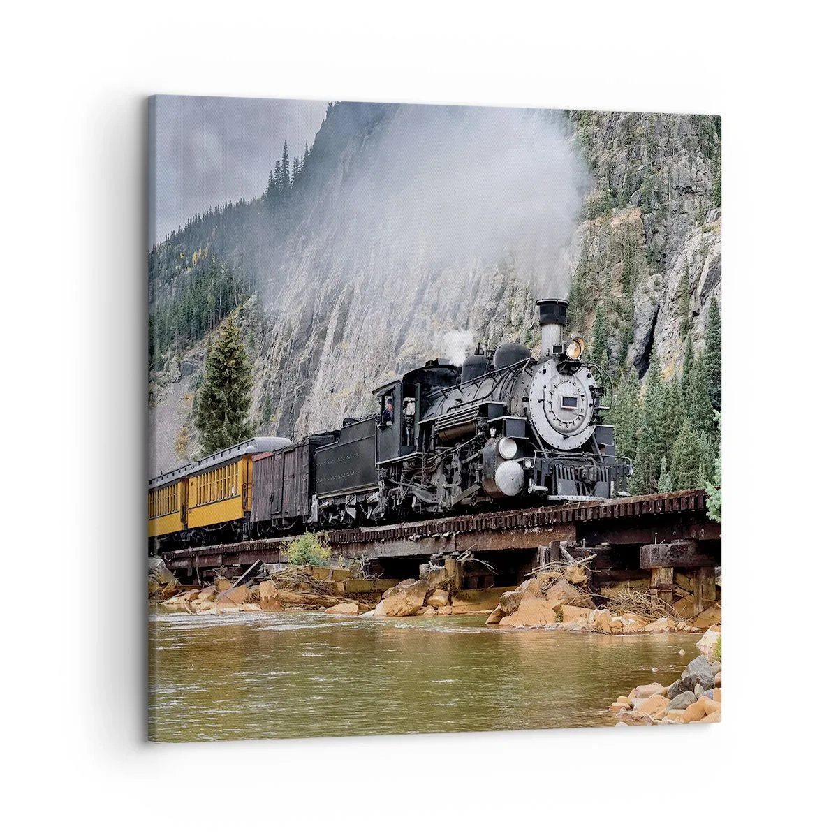 Canvastavla - Bild på duk - Vart ska du? Vart? - 50x50 cm