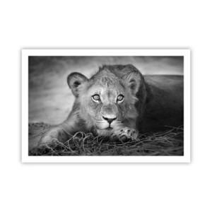 Affisch - Kunglig valp - 91x61 cm