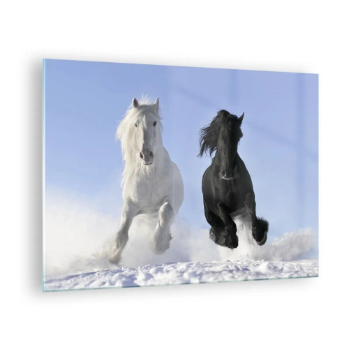 Glastavla - Bild på glas - En svartvit häst som springer genom snön i ett vinterlandskap - 70x50cm - Svart-vit galopp - Modern väggdekoration för vardagsrum och sovrum ARTTOR