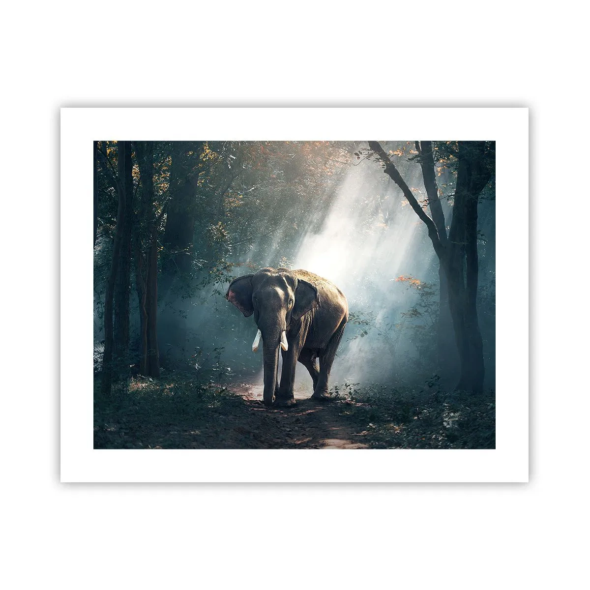 Affisch - Lugn promenad - 50x40 cm