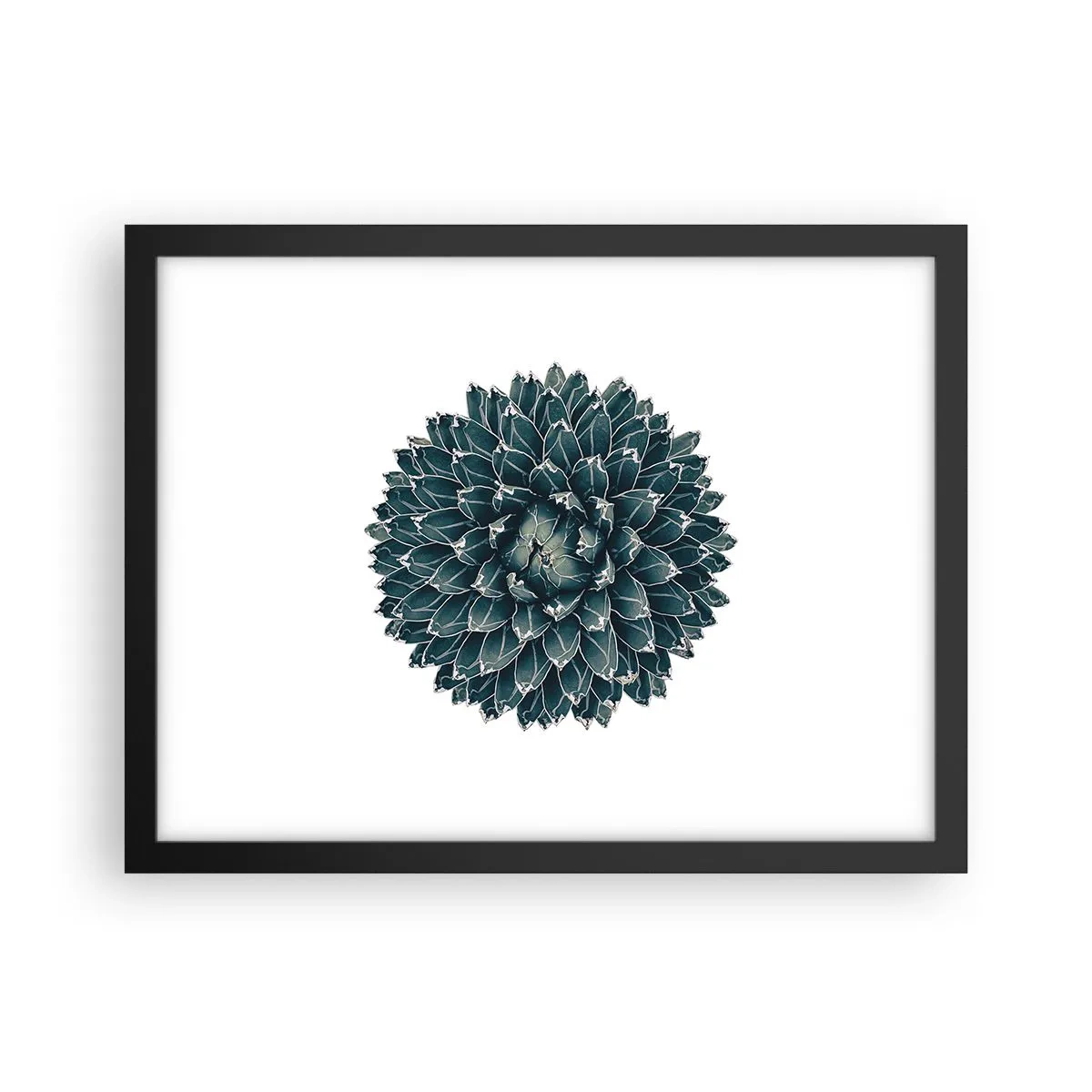 Affisch i svart ram - Öknens stjärna - 40x30 cm