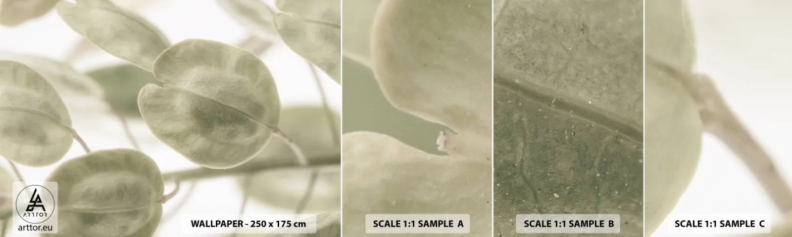 Provbit av självhäftande fototapet Deluxe Sticker - I början fanns det löv... - Blommor, Lugna, Löv - 100x30 cm