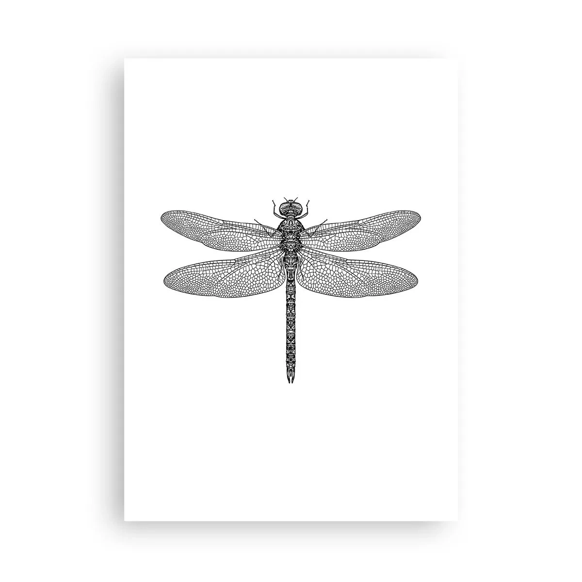 Affisch - Precision i naturen - 50x70 cm