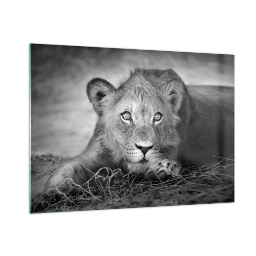 Glastavla - Bild på glas - Kunglig valp - 100x70 cm