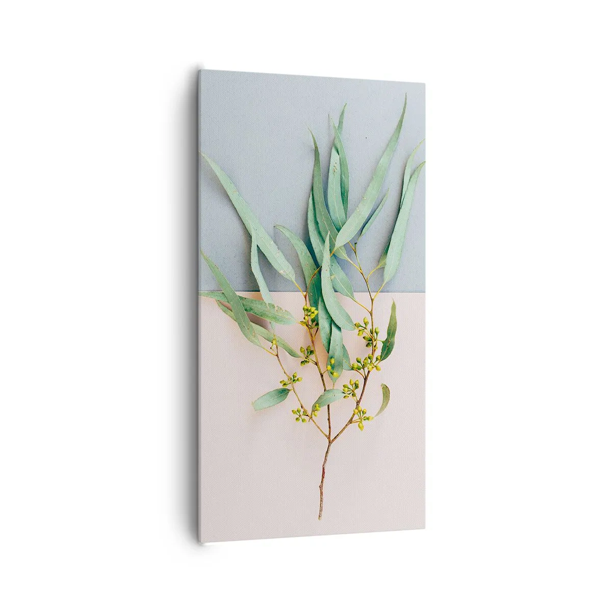 Canvastavla - Bild på duk - Pastellens subtilitet - 65x120 cm