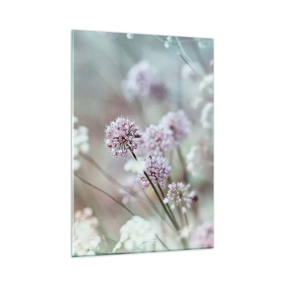 Glastavla - Bild på glas - Söta örtfiligraner - 50x70 cm