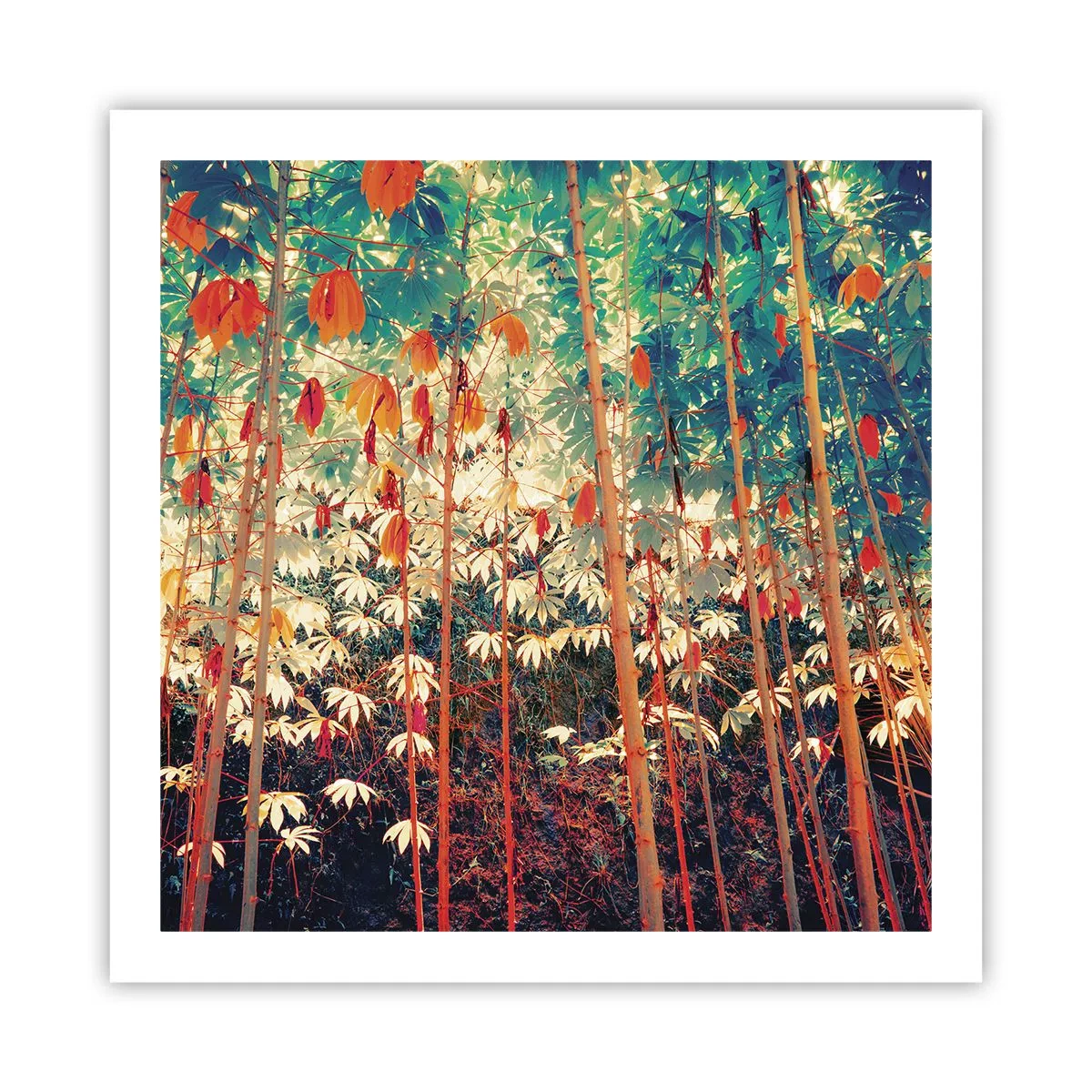 Affisch - Lövbladens hemlighetsfulla liv - 60x60 cm