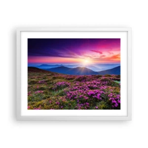 Affisch i vit ram - Doftande örter - 50x40 cm