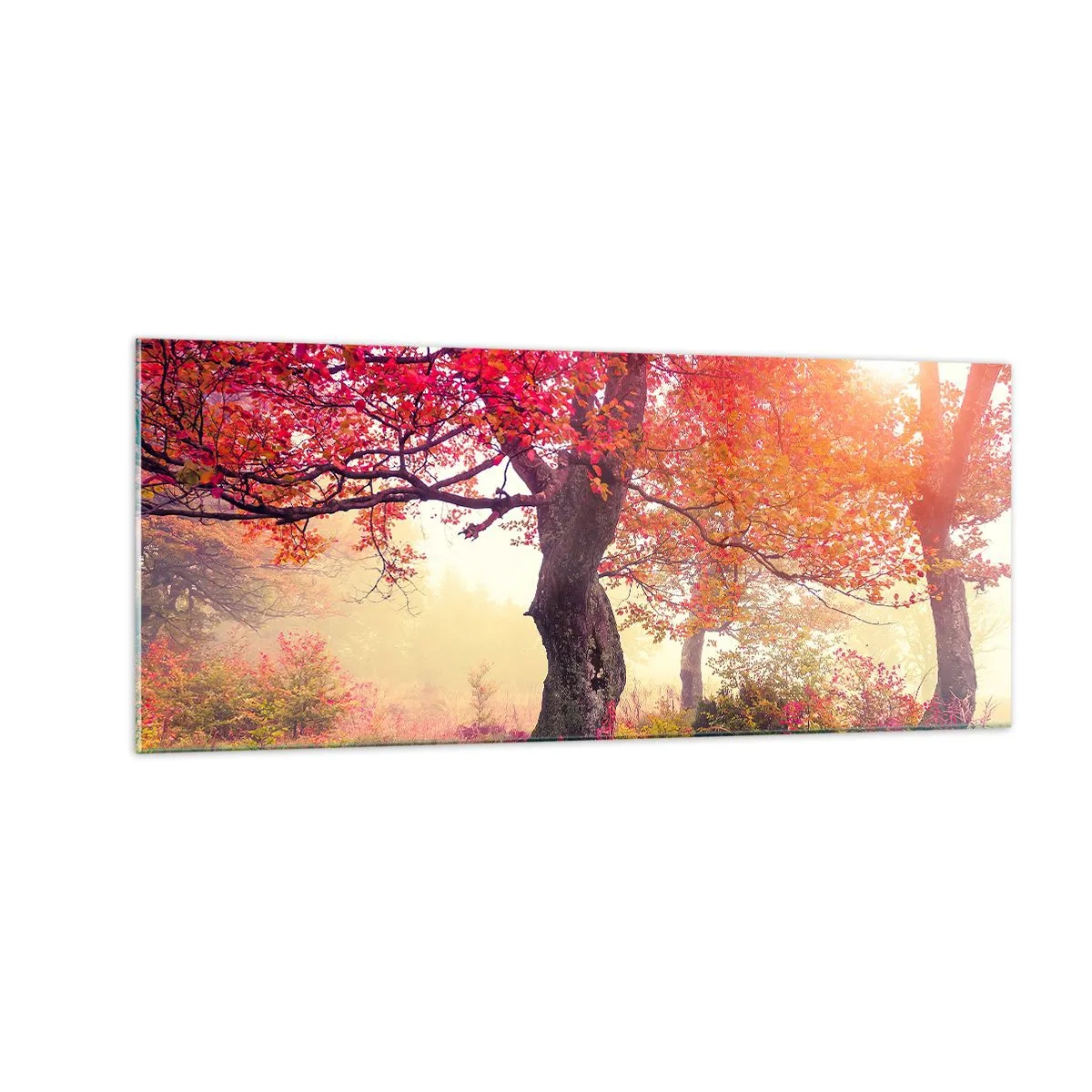 Glastavla - Bild på glas - Våldsam blommande - 100x40 cm