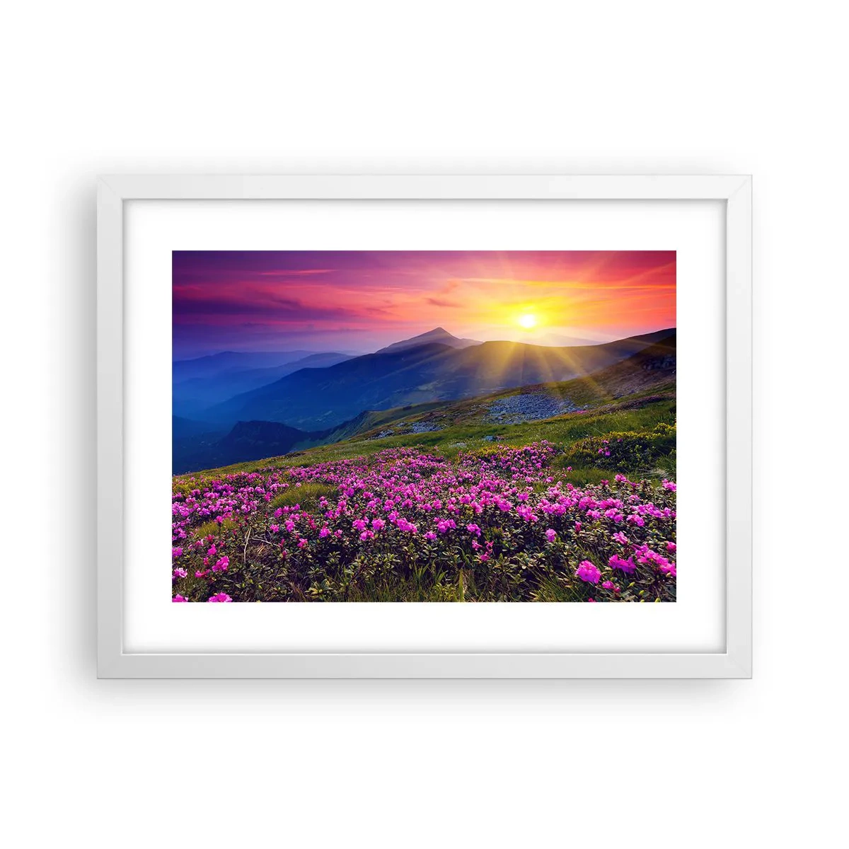 Affisch i vit ram - … Bergtallen doftar och örterna luktar runt omkring - 40x30 cm