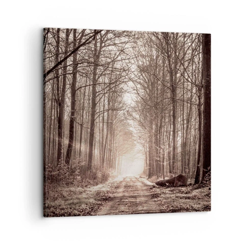 Canvastavla - Bild på duk - Skogens domkyrka - 60x60 cm