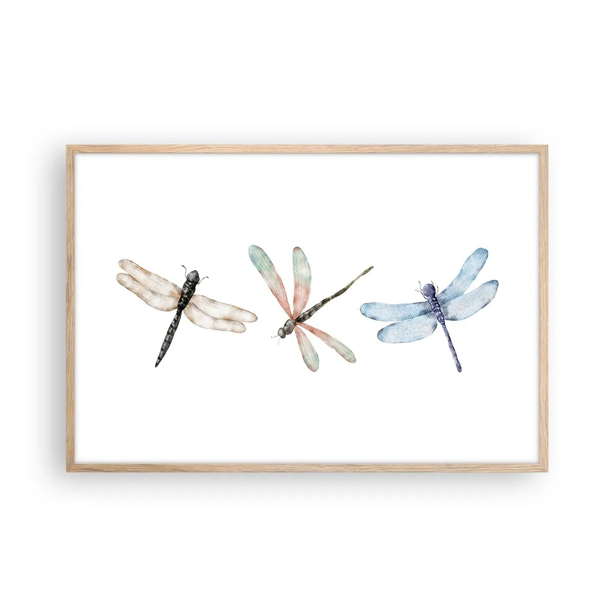 Affisch i ram av ljusek - Viktlösa trollsländor - 91x61 cm