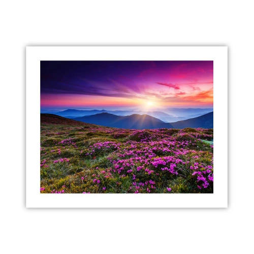 Affisch - Doftande örter - 50x40 cm