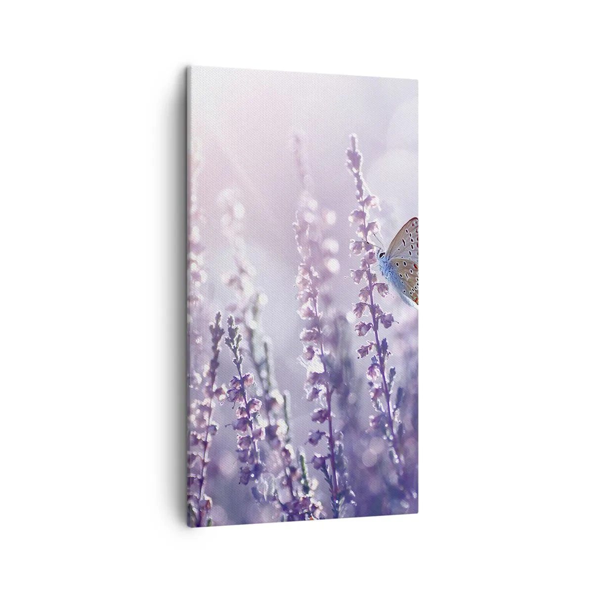 Canvastavla - Bild på duk - En fjärils kyss - 45x80 cm