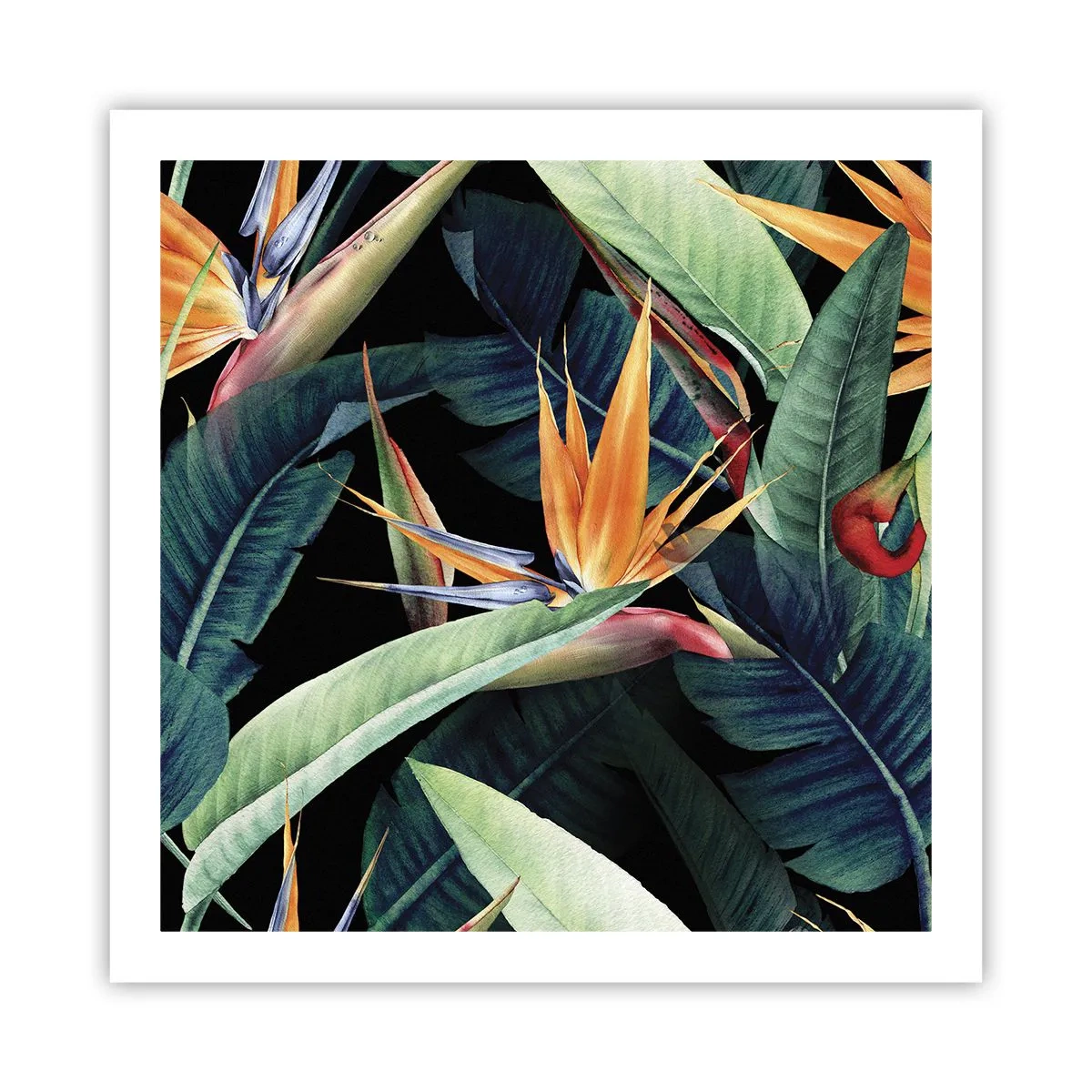 Affisch - Tropikens brinnande blommor - 60x60 cm