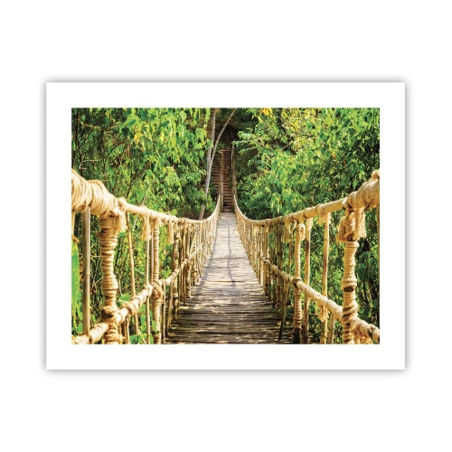 Affisch - Upphängd i grönskan - 50x40 cm