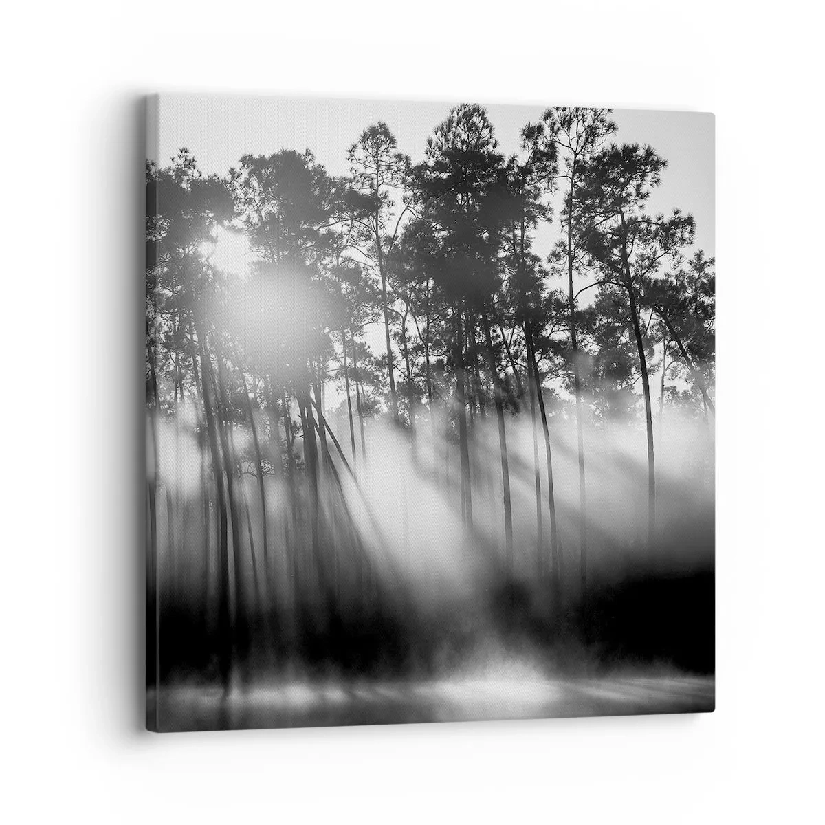 Canvastavla - Bild på duk - Ostoppad sol - 30x30 cm