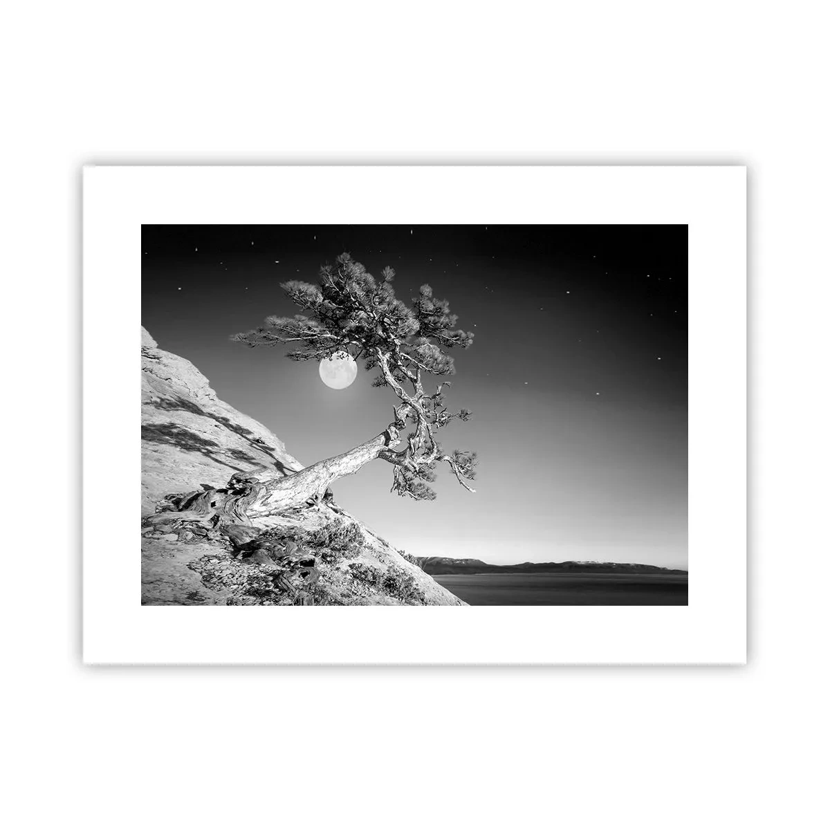 Affisch - Segerrik kämpe - 40x30 cm