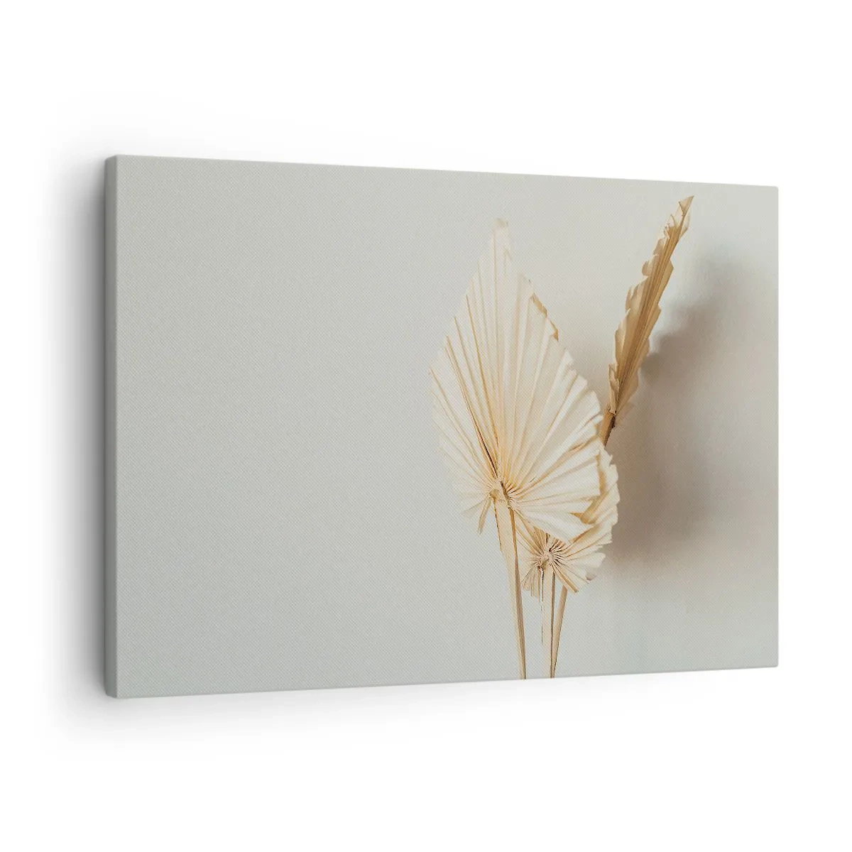 Canvastavla - Bild på duk - Torkade palmblad i ett minimalistiskt arrangemang - 70x50cm - När du behöver stillhet - Modern väggdekoration för vardagsrum och sovrum ARTTOR
